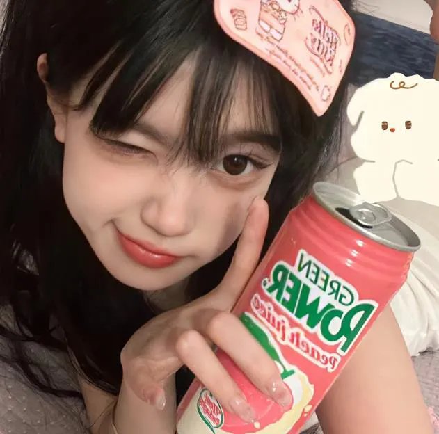 对战美洲狮